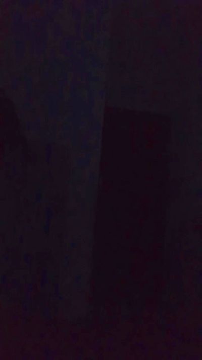 Bearoliverpcd from Brazil