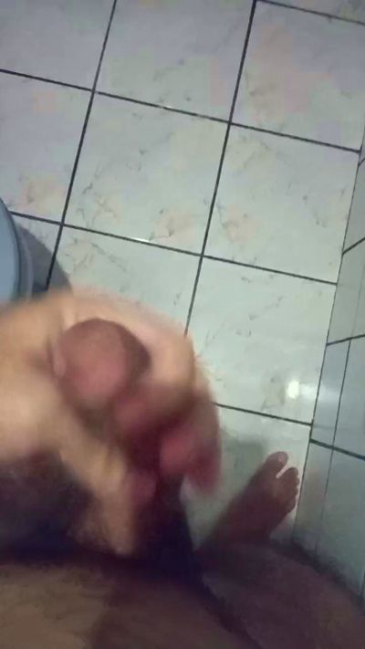 gato_de_boa from Brazil