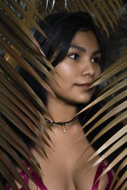 melga3 Profile Image